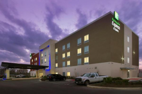 Гостиница Holiday Inn Express & Suites New Braunfels, an IHG Hotel  Нью Браунфелс